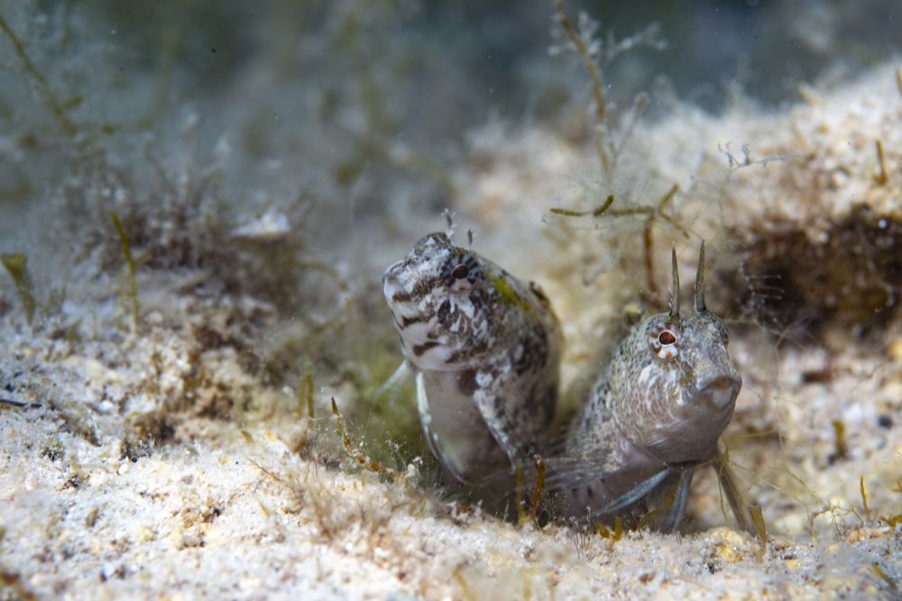 Photograph by Evgeniia