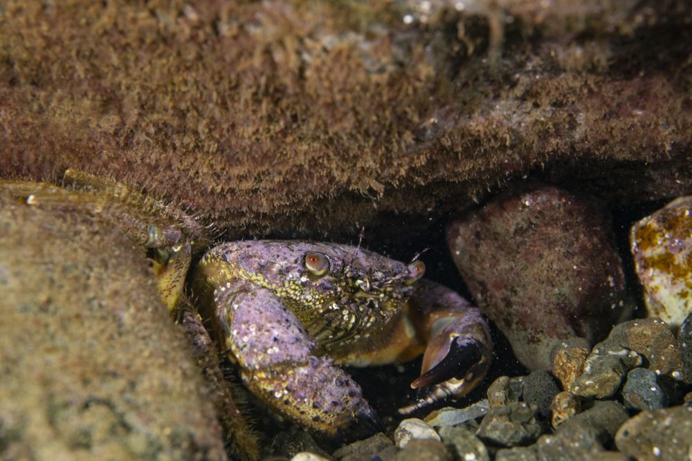 Photograph by Evgeniia