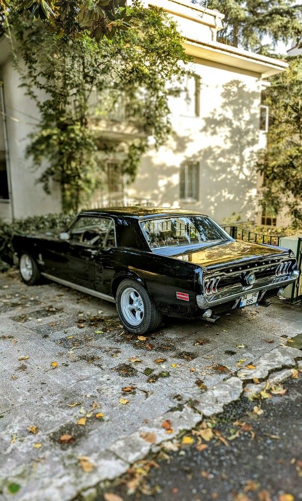 Photograph by Денис Терехин