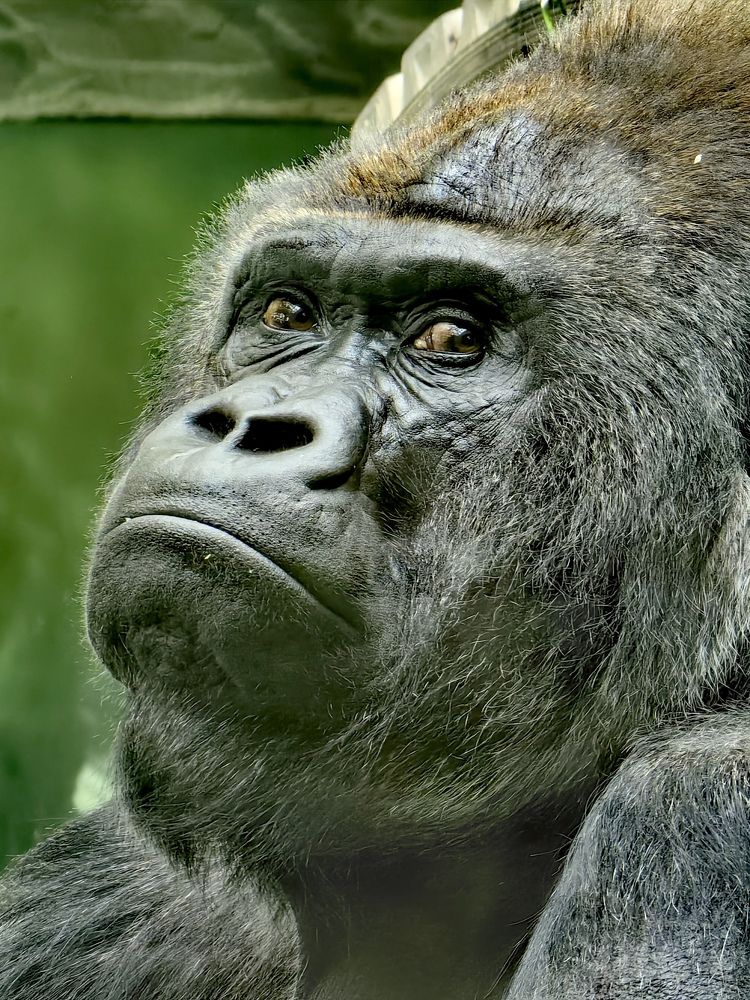 Photograph by Анна