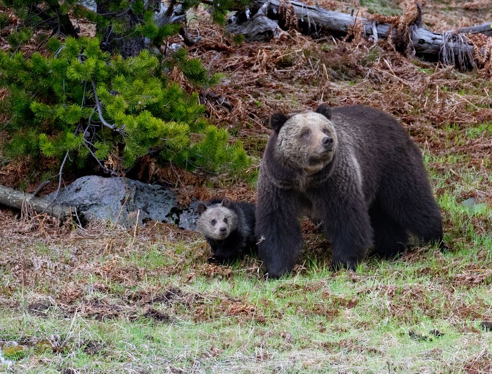 Photograph by Scott Kalter