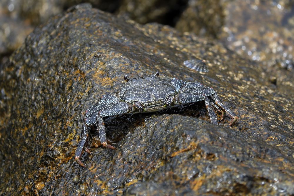 Фотография автора Inga Ivanova