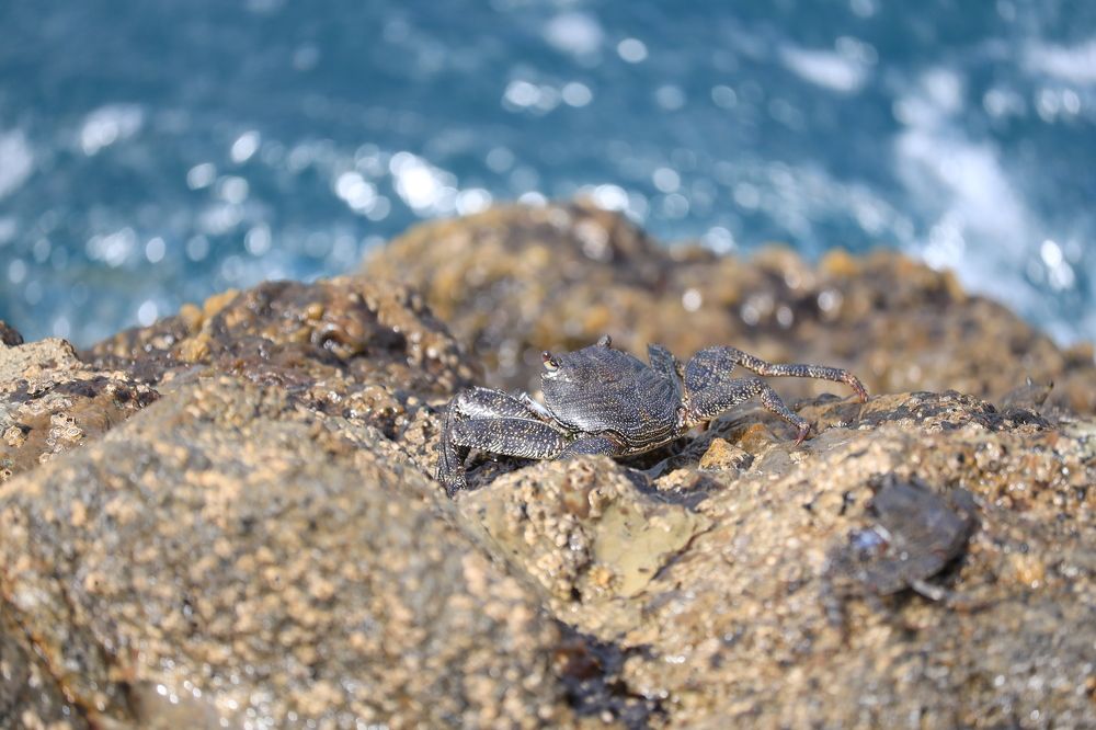 Фотография автора Inga Ivanova