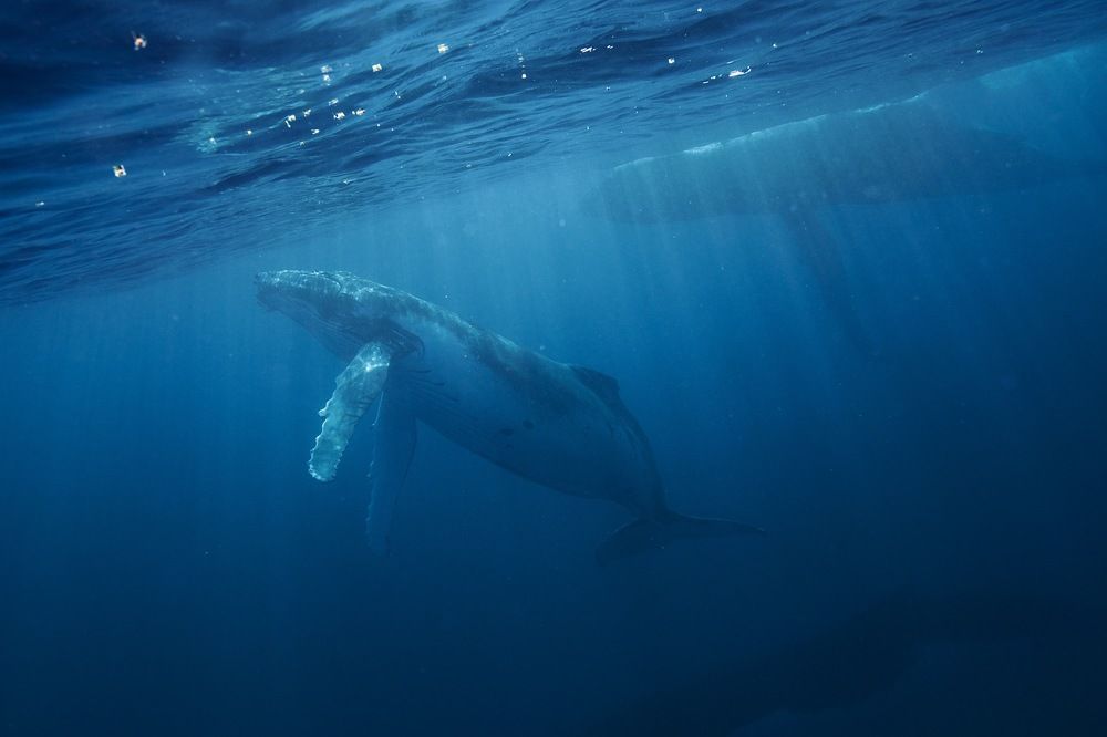 Photograph by Aleksandra