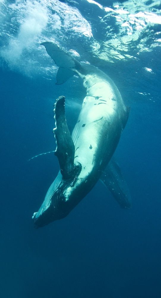 Photograph by Aleksandra