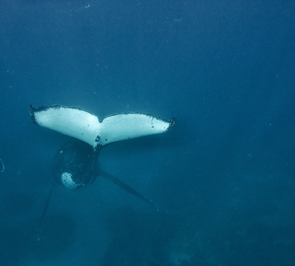 Photograph by Aleksandra