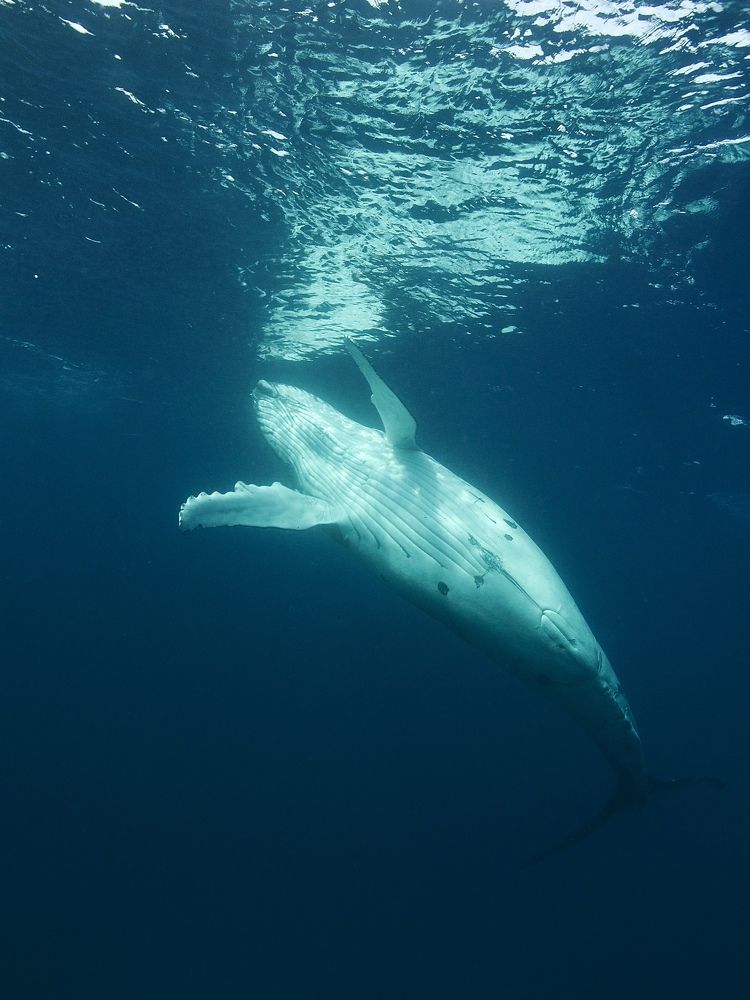 Photograph by Aleksandra