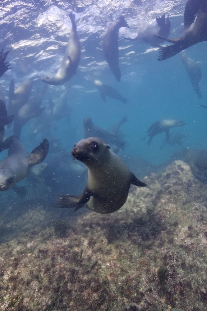 Photograph by Aleksandra