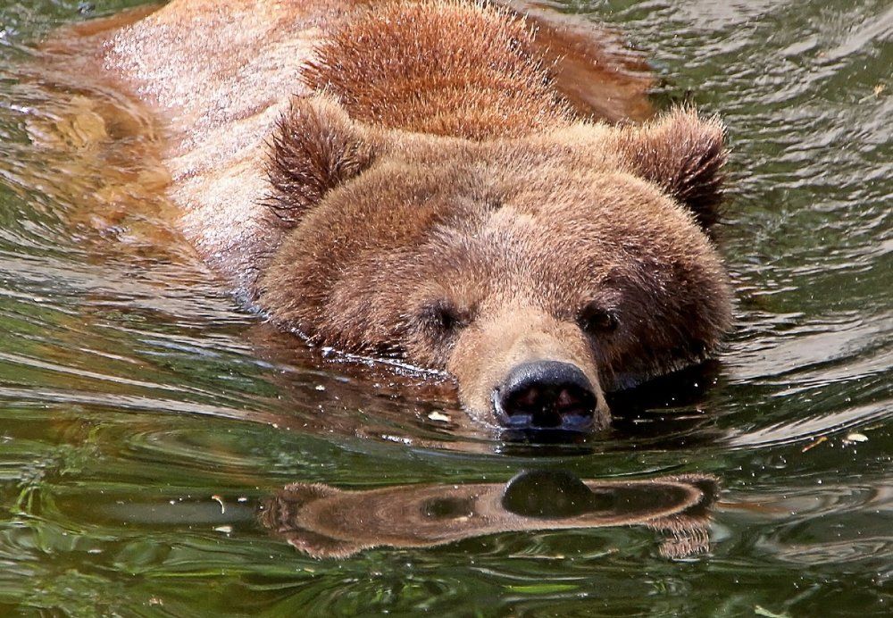 Photograph by Александр