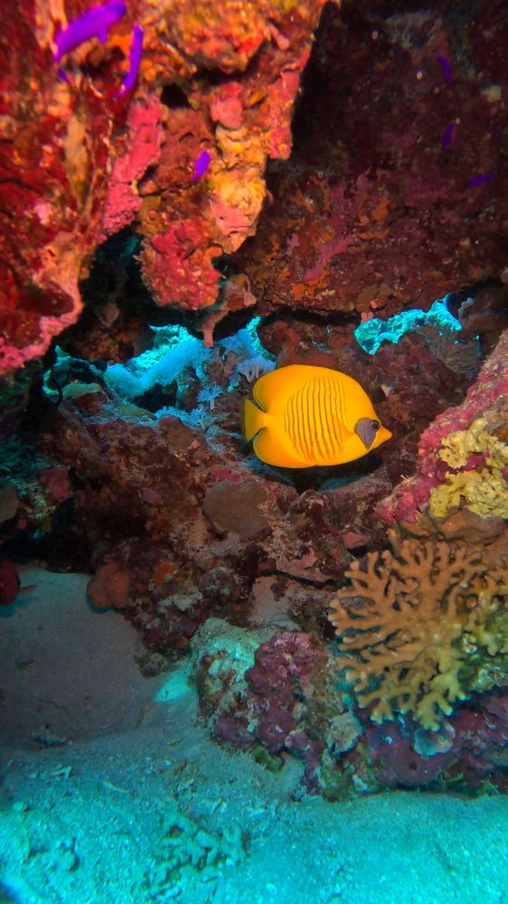 Photograph by Мария Берёзка