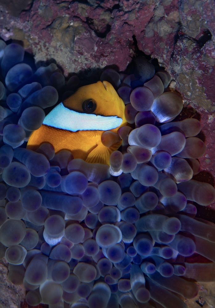 Photograph by Santiago Estrada R