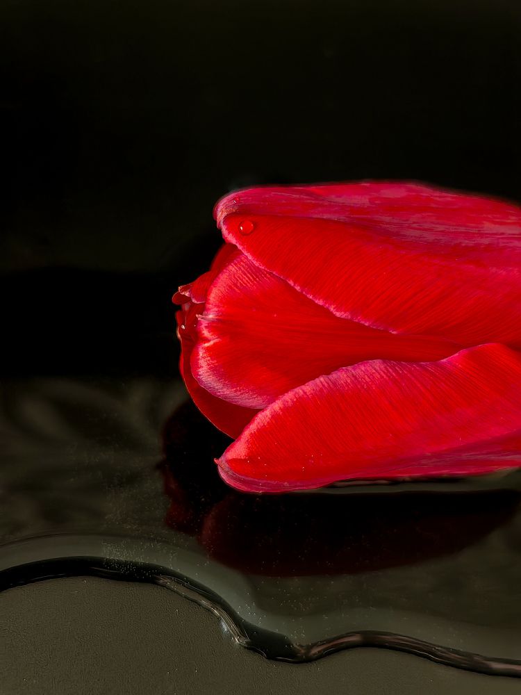 Photograph by Наталья Жуковская