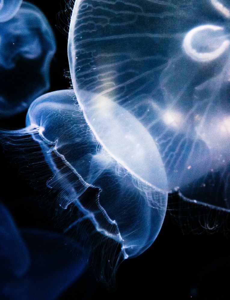 Photograph by Aleksandr Kolonsky