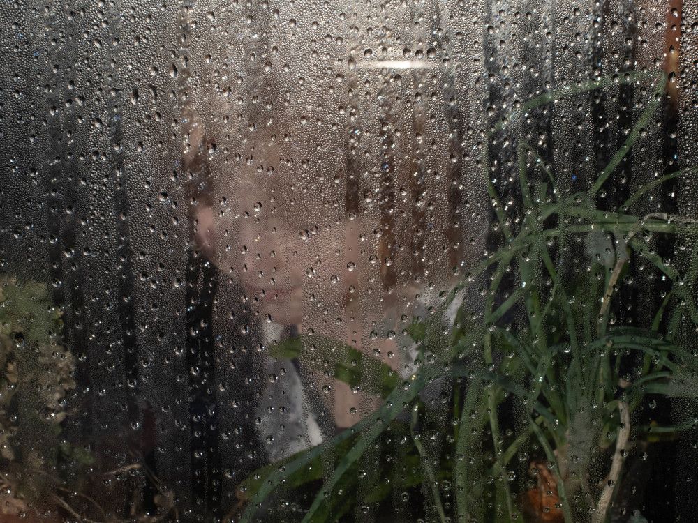 Photograph by Elena LaCasse