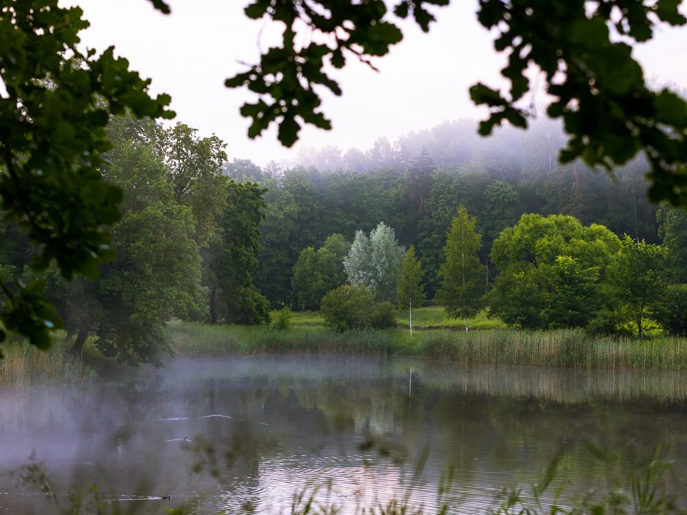 Фотография автора Евгений Чабанный