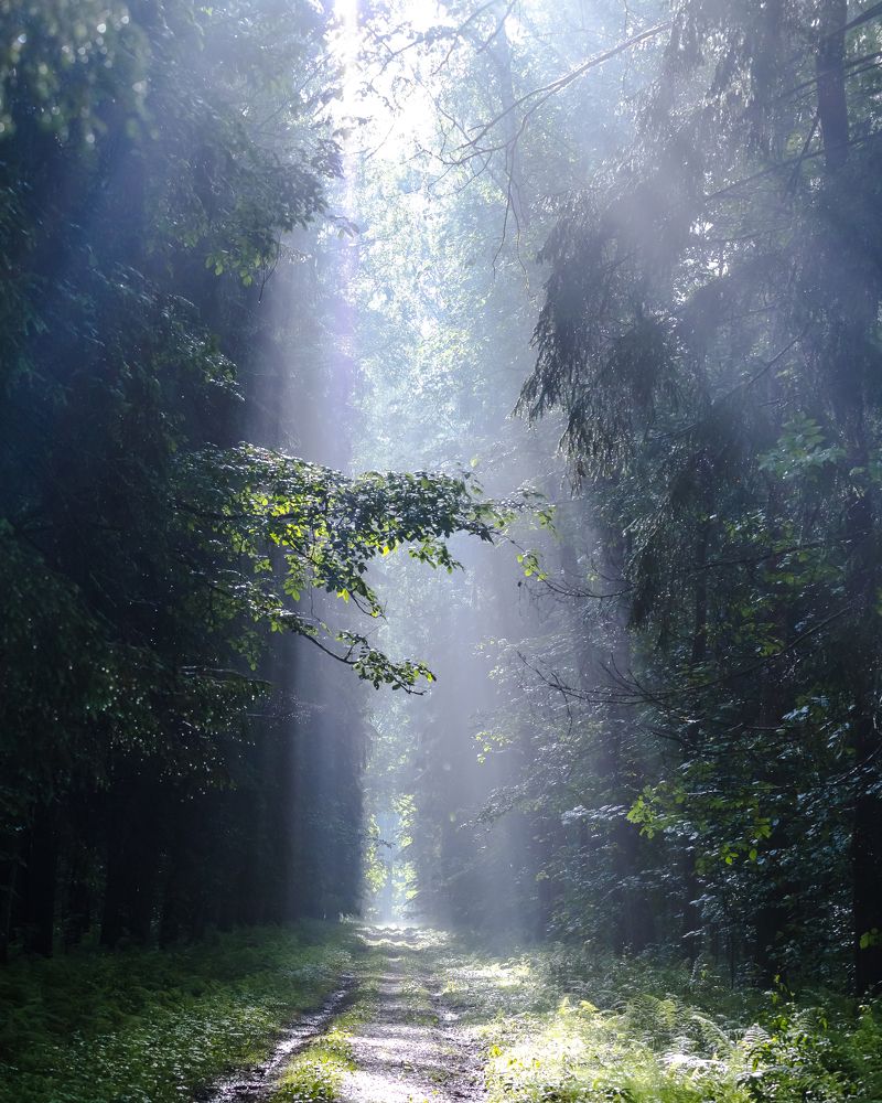 Фотография автора Евгений Чабанный