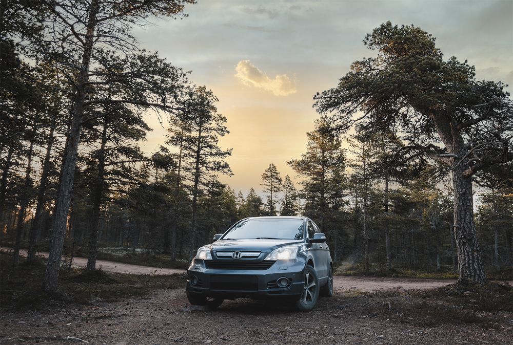 Фотография автора Андрей Русских