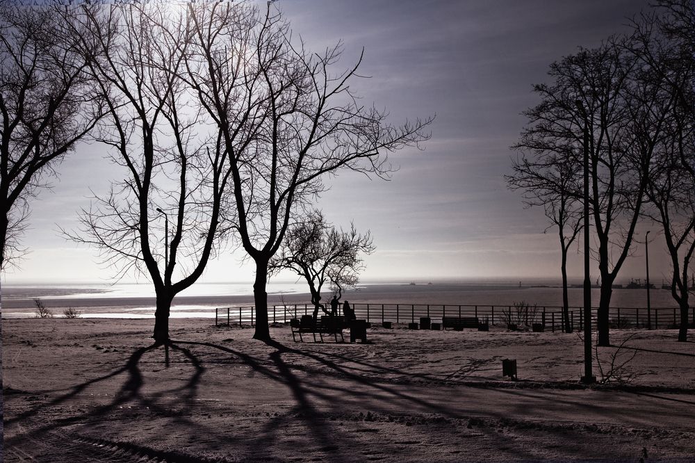 Фотография автора Владимир Диденко