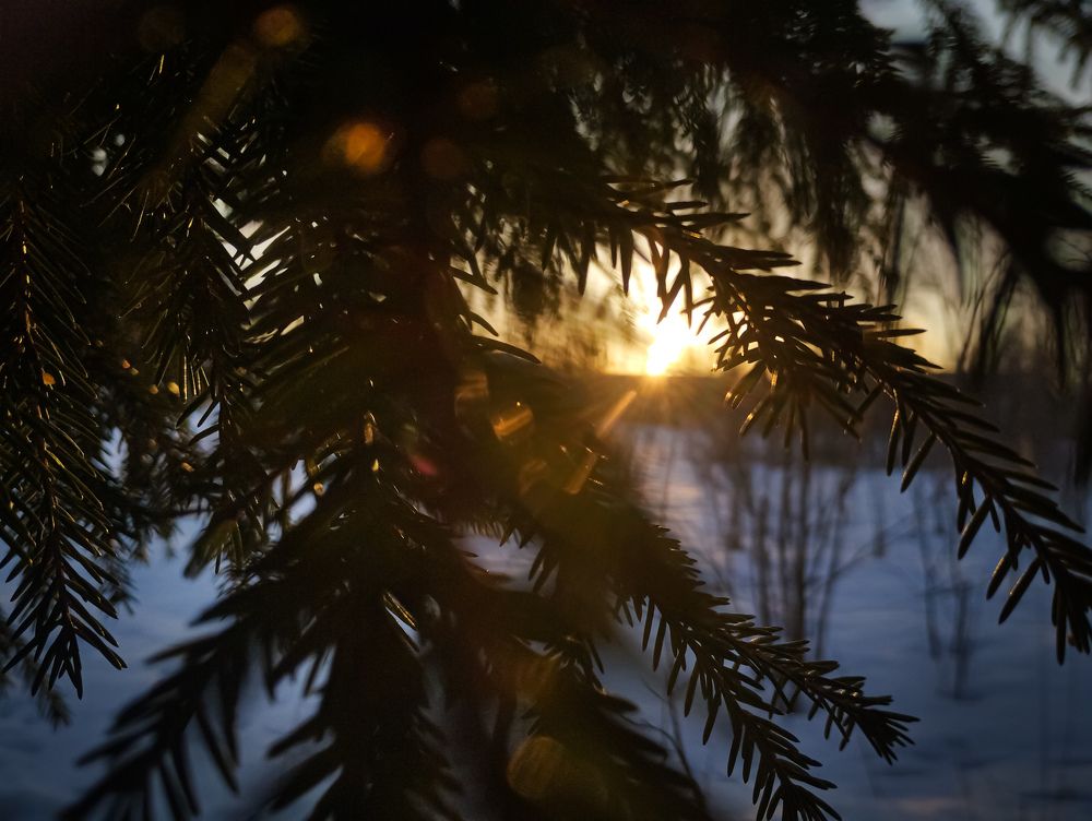 Photograph by Асхабова Юлия