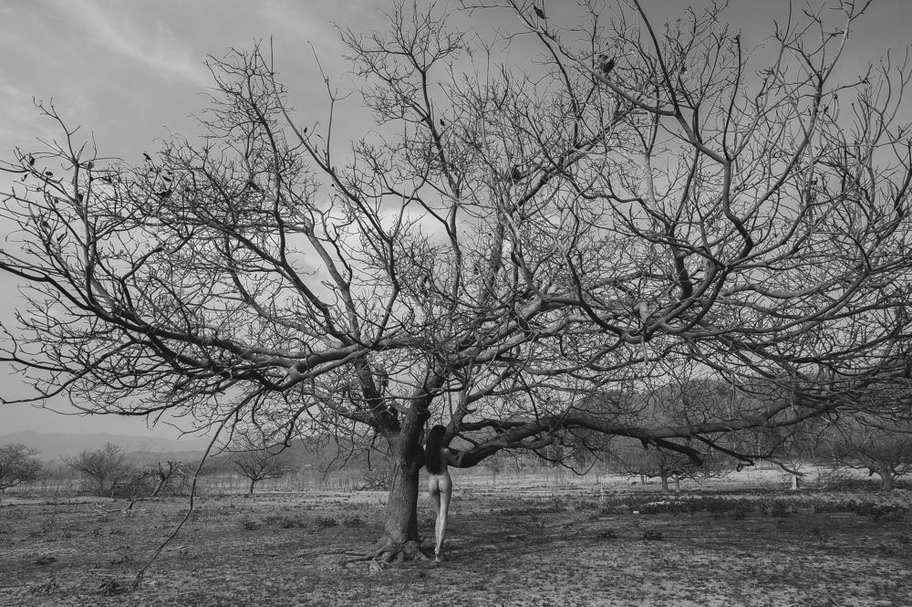 Photograph by Hung Vu