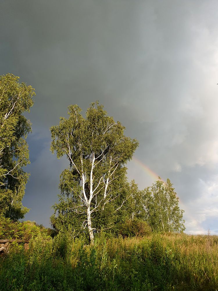 Фотография автора Надежда Лисицына