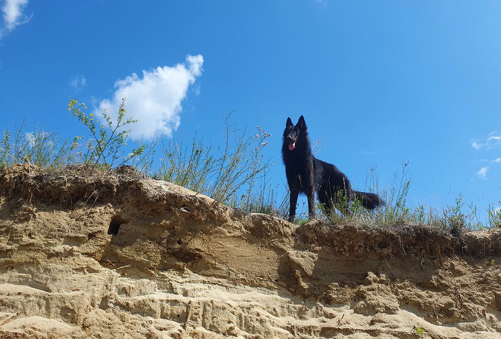 Фотография автора Надежда Лисицына
