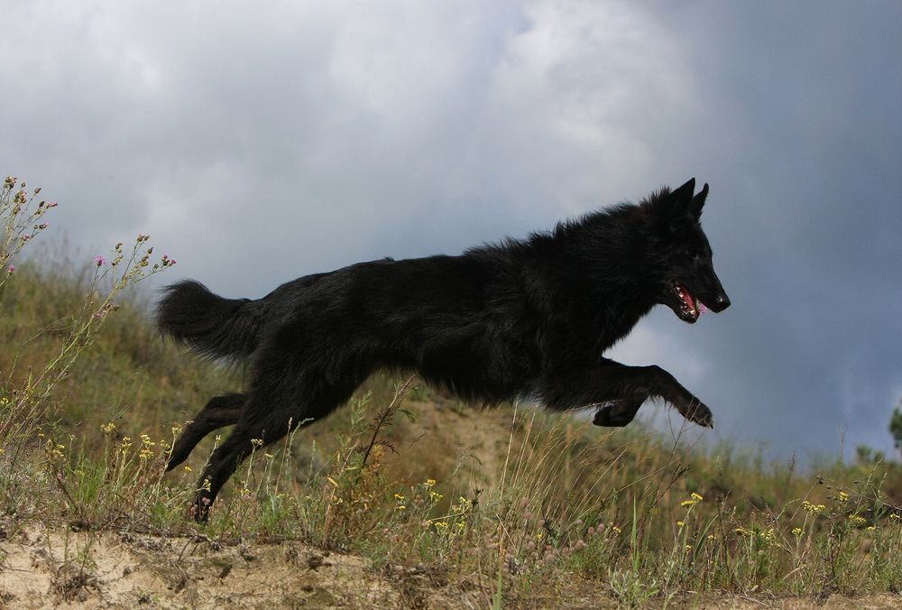 Фотография автора Надежда Лисицына