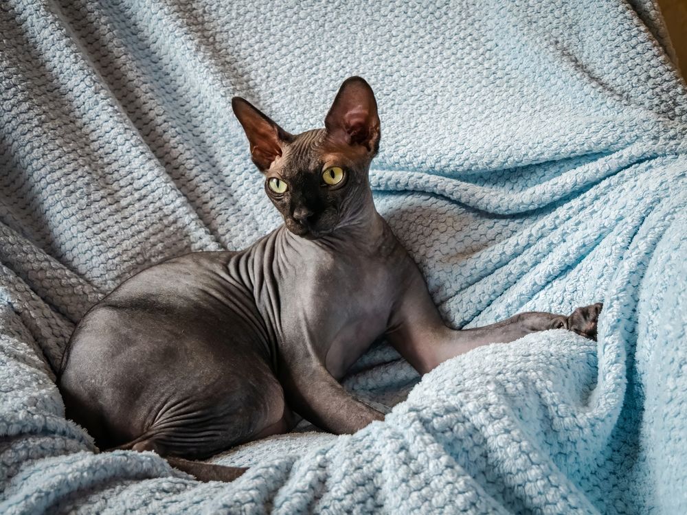 Photograph by Александр Антонов