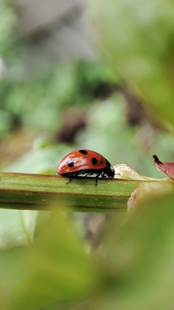 Photograph by Ангелина