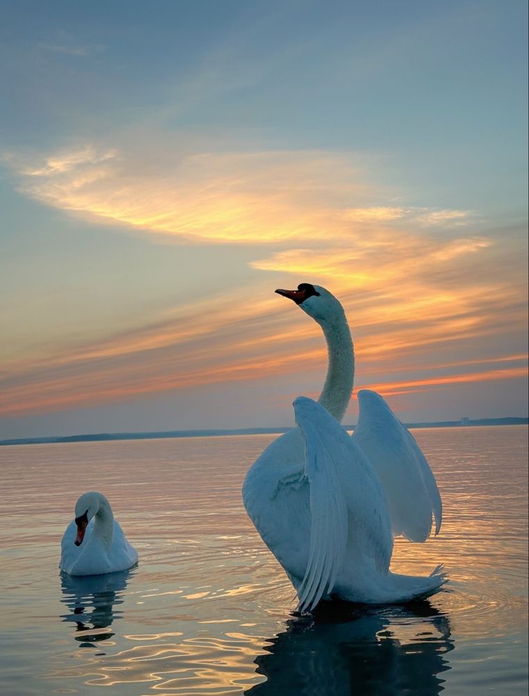 Photograph by Армен Егиян