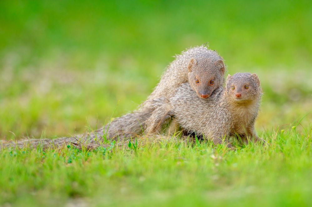 Photograph by Jai Tripathi