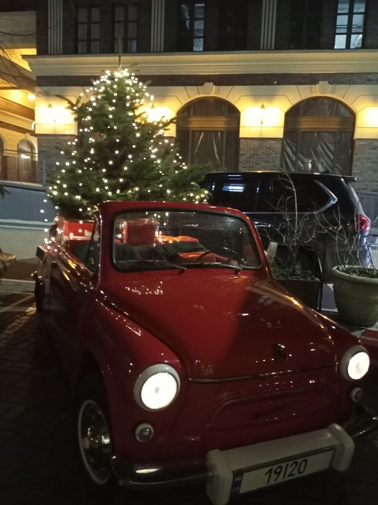 Photograph by Адамян Анна