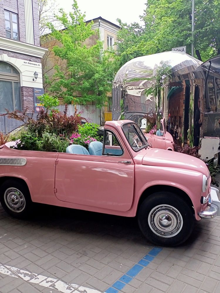 Photograph by Адамян Анна