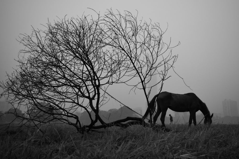 Photograph by Tanay sahoo Sahoo
