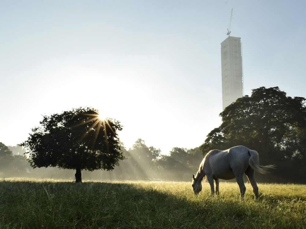 Photograph by Tanay sahoo Sahoo