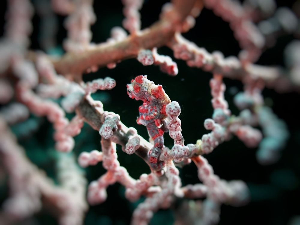 Photograph by Arda Yavuzdogan