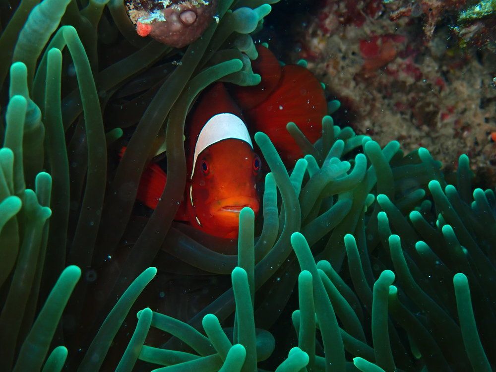 Photograph by Arda Yavuzdogan