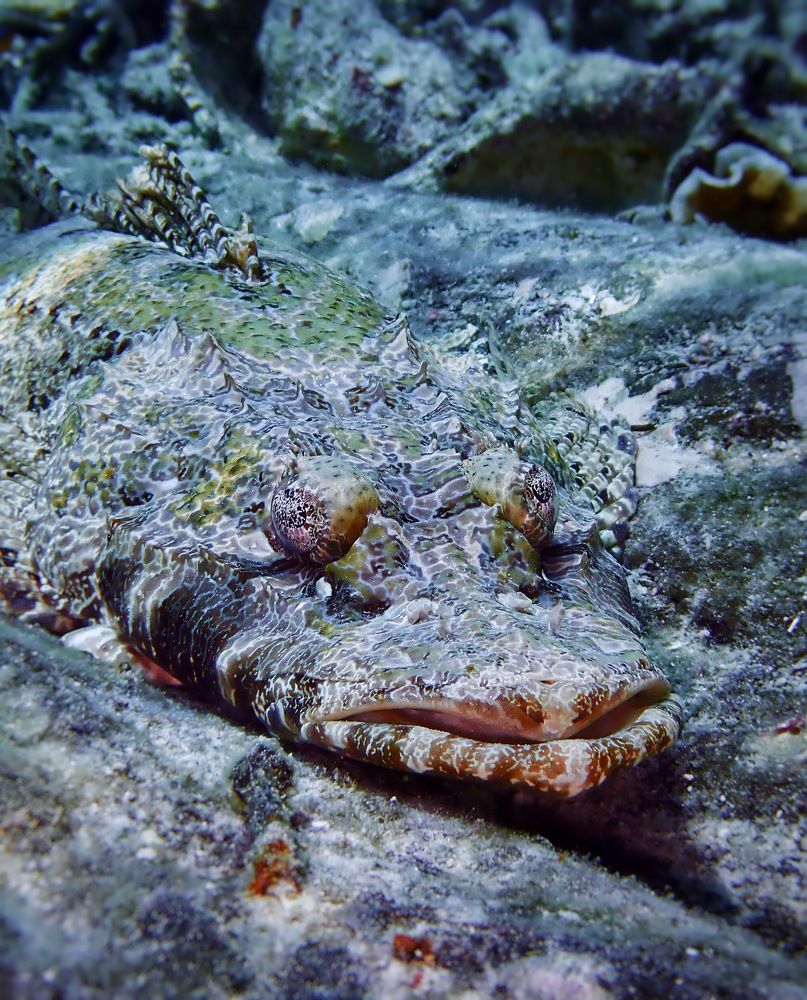 Photograph by Arda Yavuzdogan