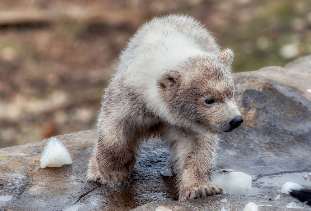 Photograph by Aleš Maučec