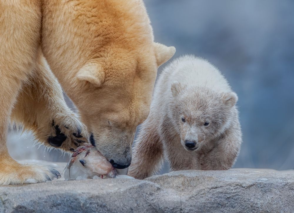 Photograph by Aleš Maučec