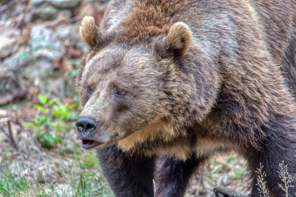 Photograph by Aleš Maučec