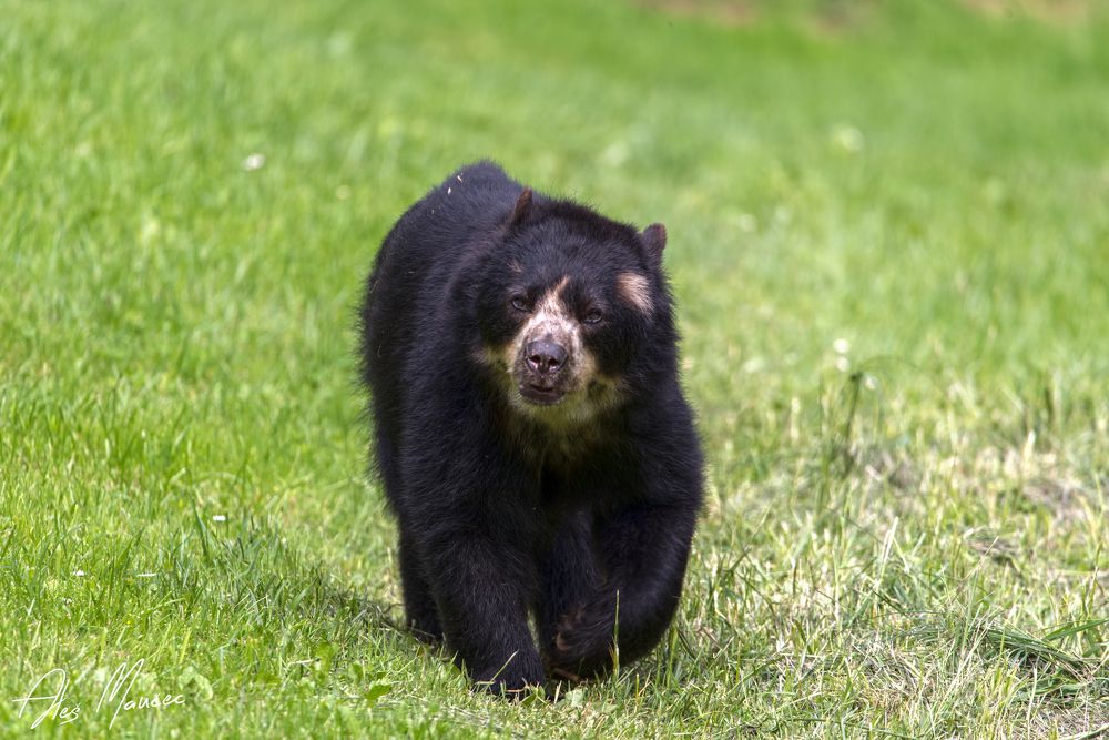 Photograph by Aleš Maučec