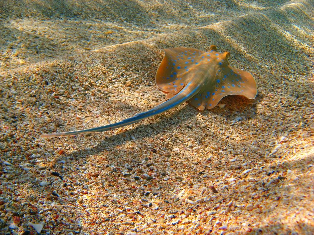 Photograph by Светлана Стрельцова