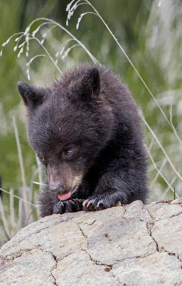 Photograph by Scott Kalter