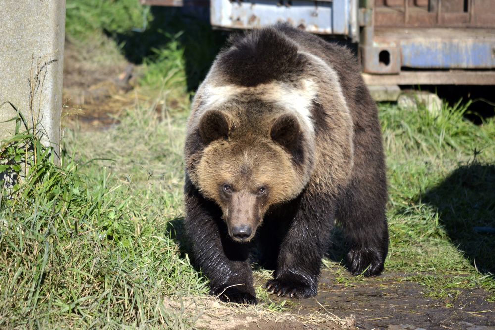 Photograph by Дмитрий Дулин