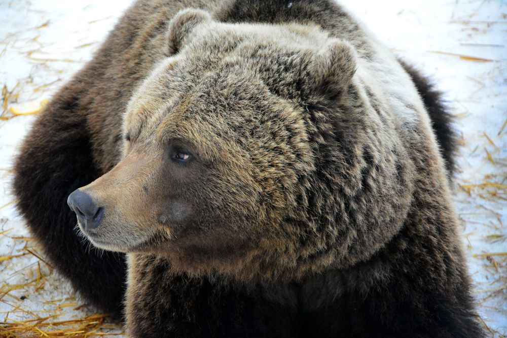 Photograph by Дмитрий Дулин