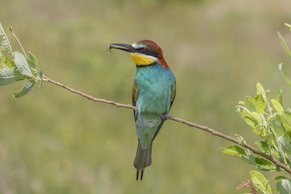 Photograph by Slobodan Zovko