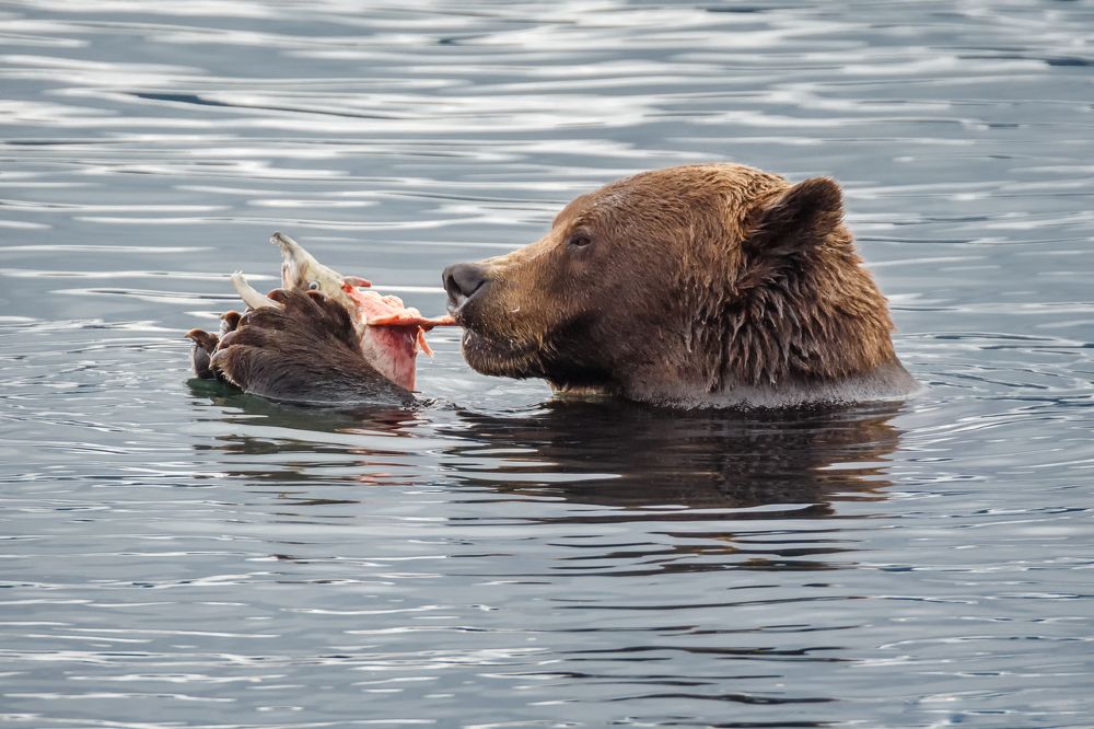 Photograph by Галина Шепелева