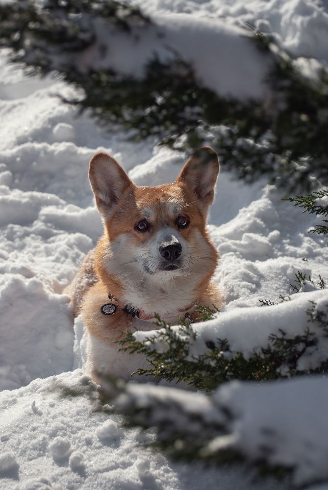 Photograph by Натали Фромм