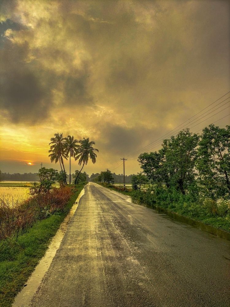 Beautiful Golden Evening